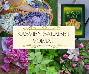 ☘️Kasvien salaiset voimat - koulutus Zoomissa  Ma.  24.03, 31.03 ja  7.04 Klo 18.00-20.30☘️