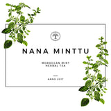 Nana minttu yrttitee